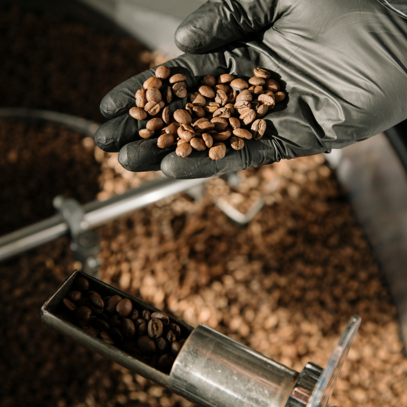 Barista Workshop Professional